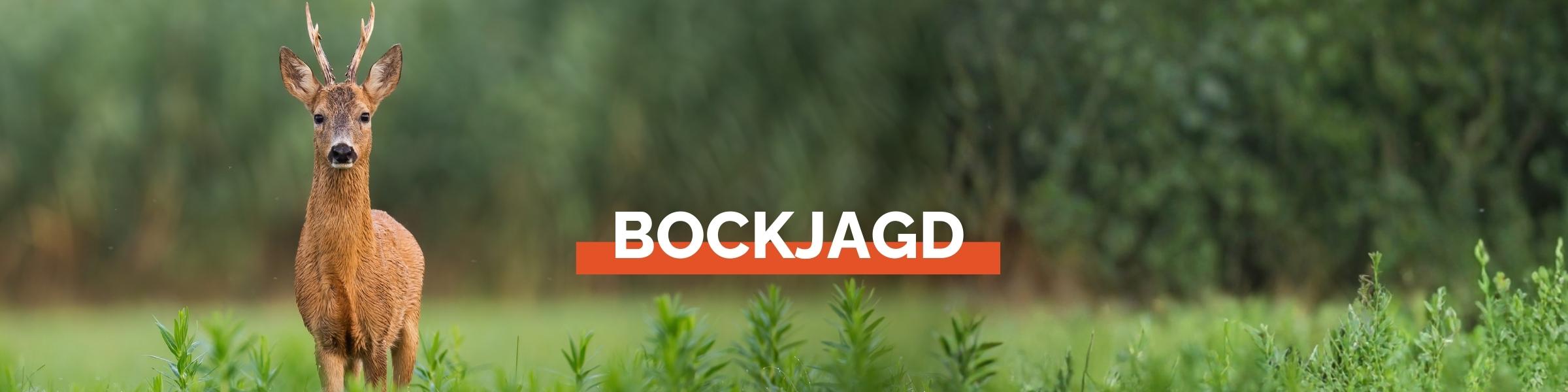 JW24_Kategorie_Header_Bockjagd.jpg