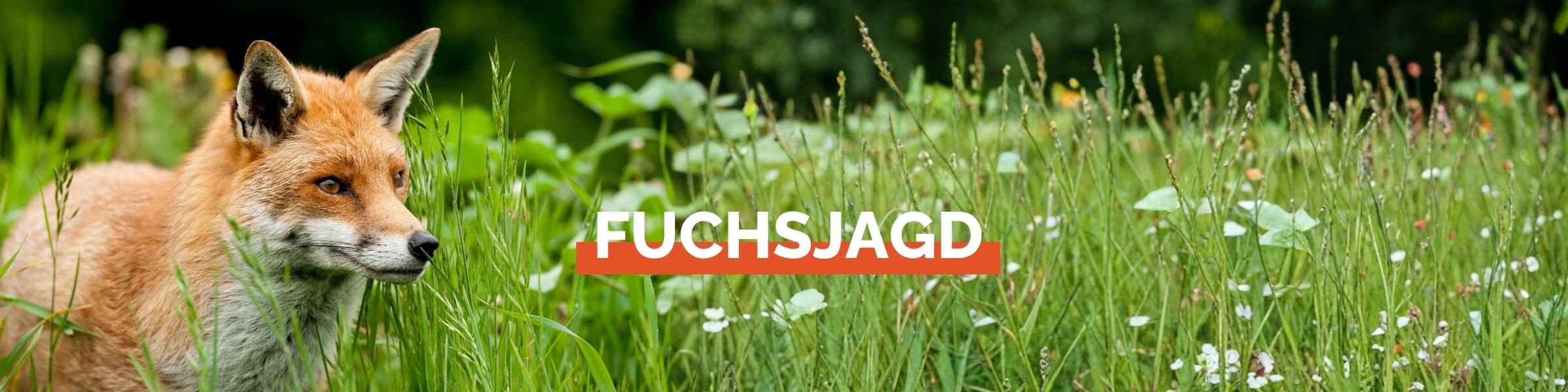 JW24_Kategorie_Header_Fuchsjagd.jpg