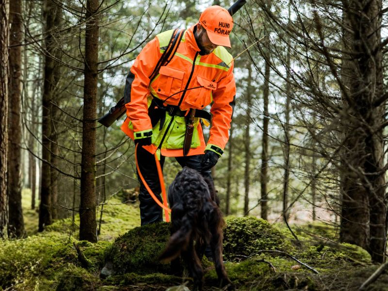 Hundeführer mit Jagdhund bei der Nachsuche