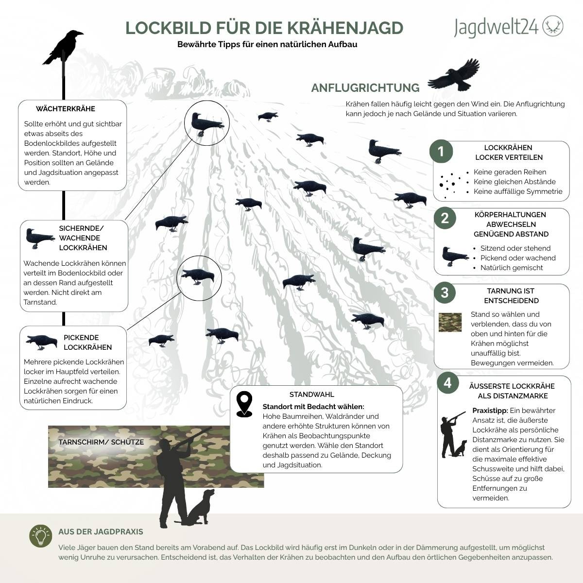 Infografik zum Aufbau eines natürlichen Lockbildes mit pickenden und sichernden Lockkrähen, freier Landezone, Windrichtung und Tarnschirm