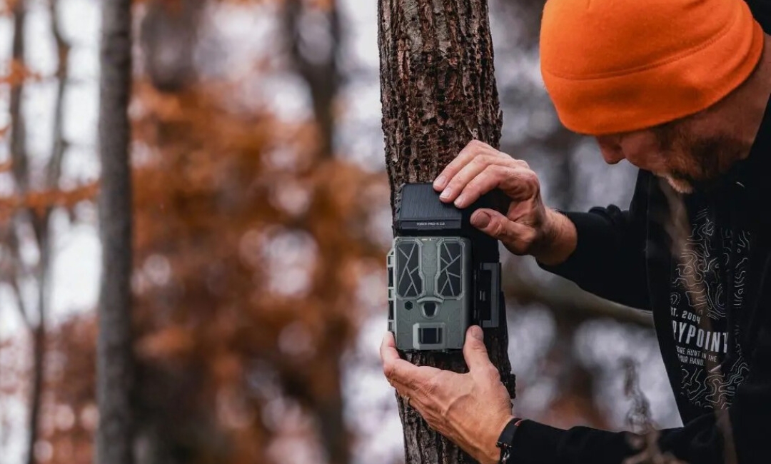 Wildkamera im Revier – Praxis-Szenarien