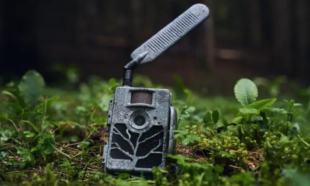 Wildkameras für die Wildbeobachtung im Jagdrevier