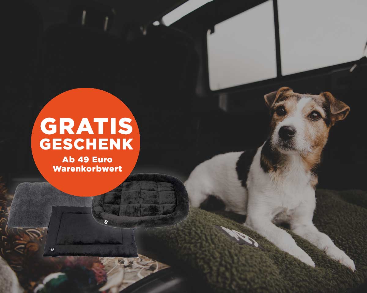Einkaufen & Hundedecke gratis erhalten