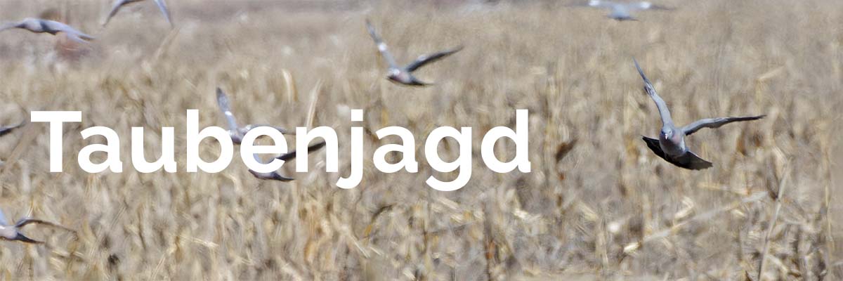 menu_taubenjagd.jpg