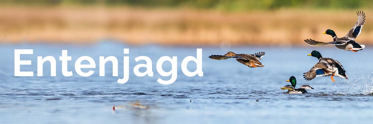 menue_entenjagd.jpg