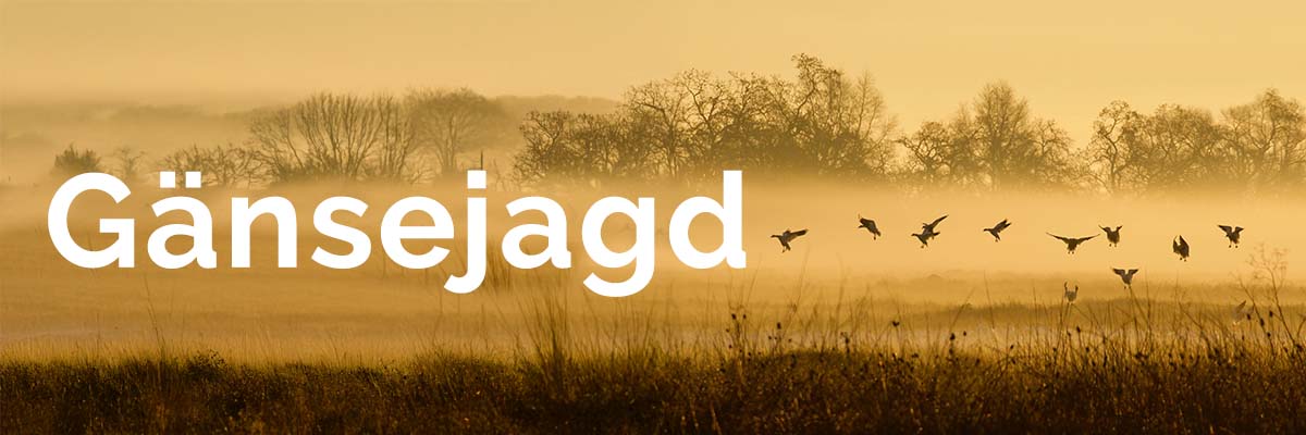 menue_gaensejagd.jpg