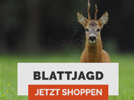 blattjagd