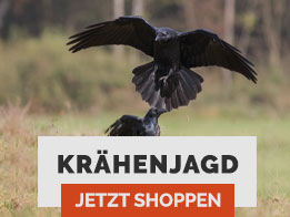 kraehenjagd