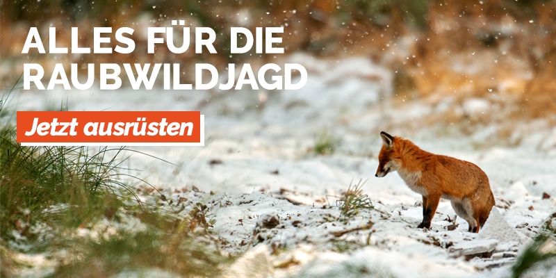 2026-01_Raubwildjagd_Startseite-Bildslider3er_800x400px.jpg