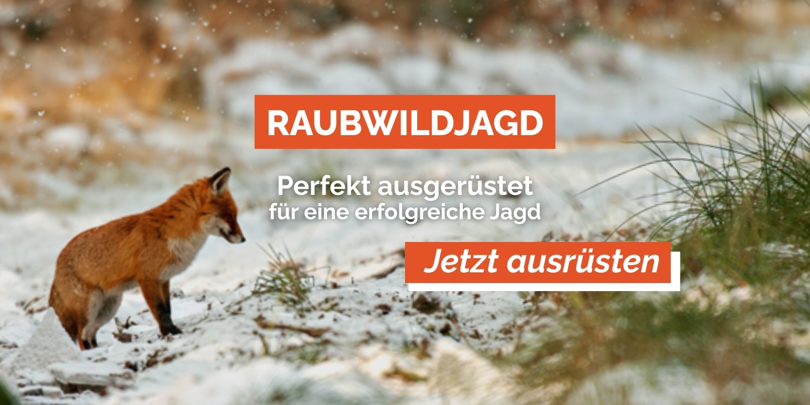 Raubwildjagd_3erSlider_Neu.jpg