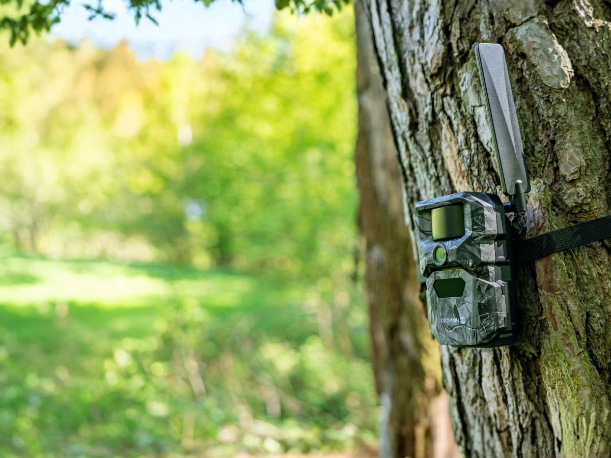 Hikmicro T16 Wildkamera an einem Baum