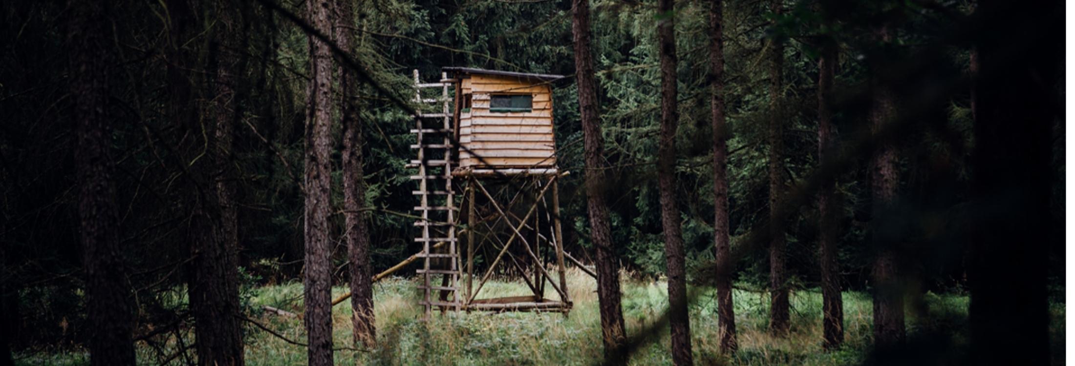 Hochsitz im Wald als Symbol für Karriere und Arbeiten bei Jagdwelt24
